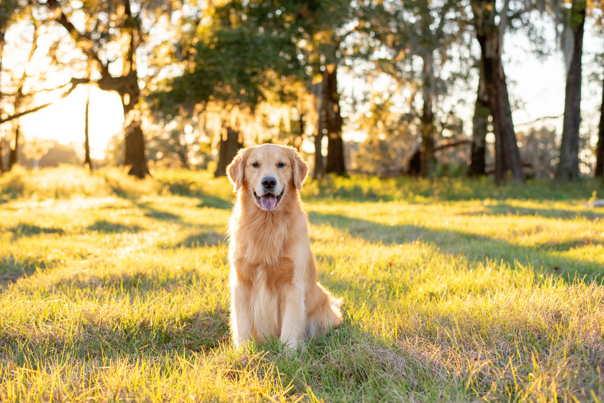 AdobeStock_313690367 scaled 1